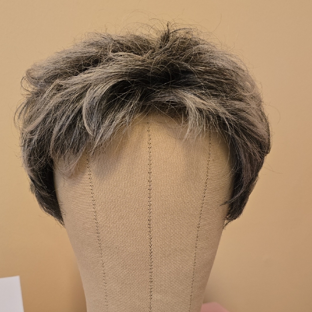 Ellen Wille Short Salt And Pepper Gray Lace Front Wig